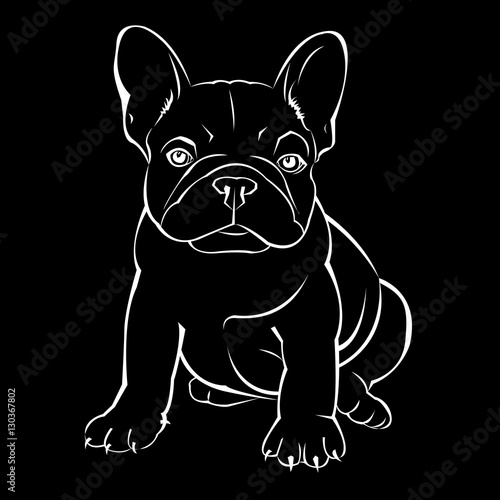 dog vector breed cute animal bulldog french