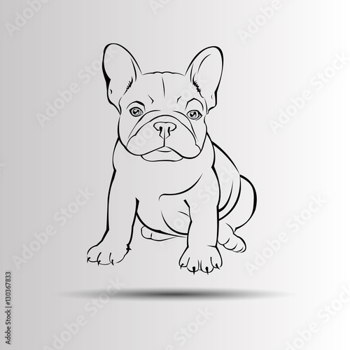 dog vector breed cute animal bulldog french