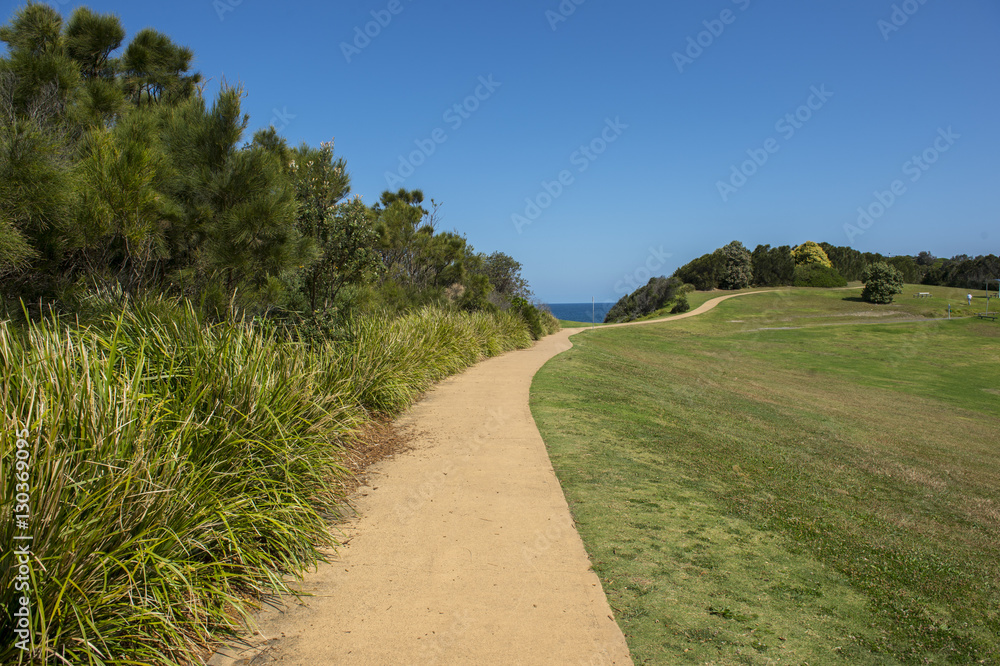 Beautiful park near Sydney