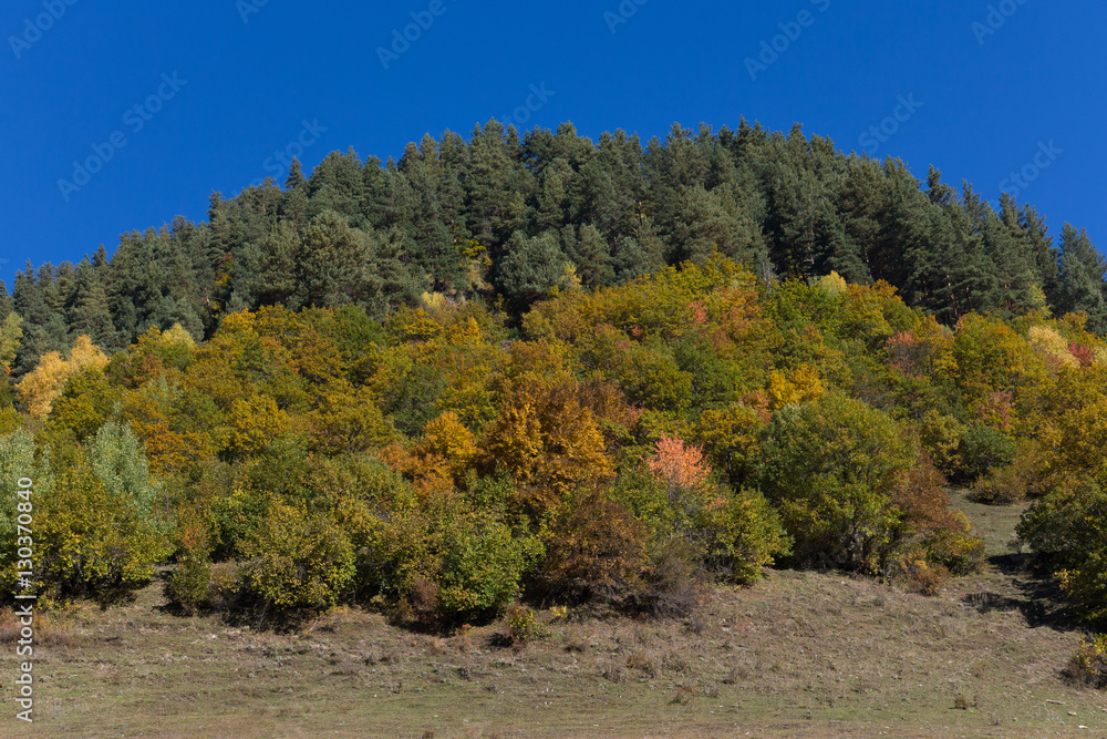 Fototapeta premium Beautiful autumn mountain landscape in Svaneti. Georgia