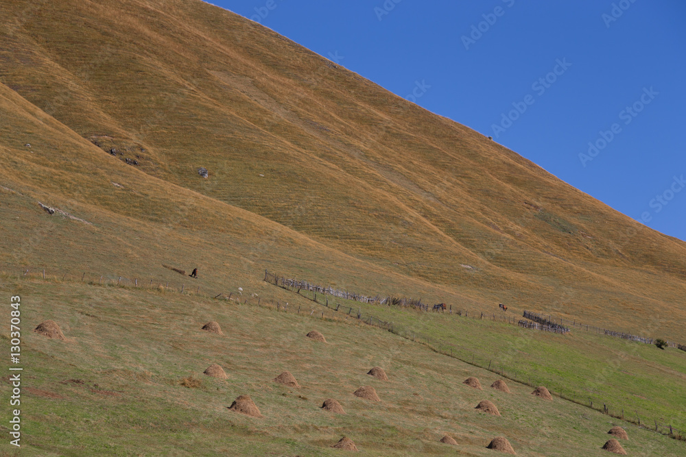 Beautiful autumn mountain landscape in Svaneti. Georgia