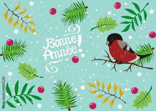 Félicitations Bonne année