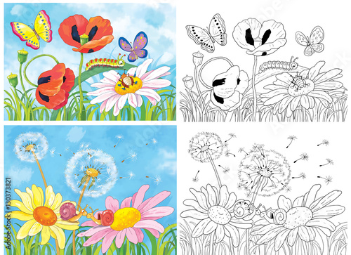 Coloring page. Cute flowers and insects. Poppies  daisies  butterflies  snails