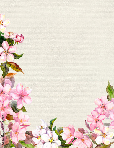 Pink flowers - apple, cherry blossom. Floral frame. Vintage watercolor on paper background