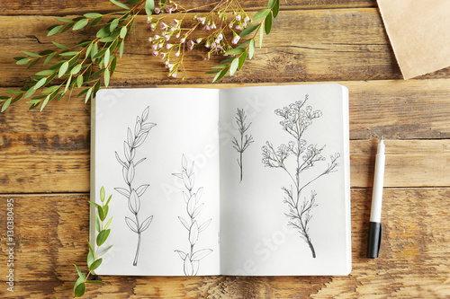 Collection of plants and sketchbook with drawings on wooden background