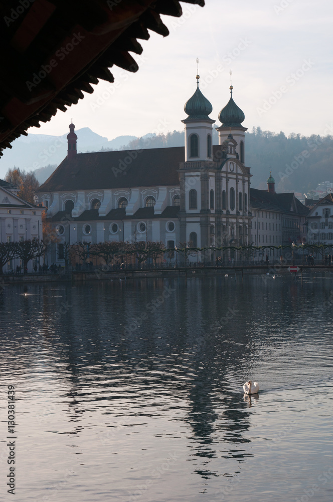 Svizzera, 08/12/2016: un cigno e lo skyline di Lucerna con la Chiesa dei Gesuiti vista dal Ponte della Cappella 