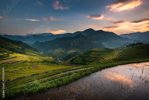 Green Rice fields on terraced in Muchangchai, Vietnam