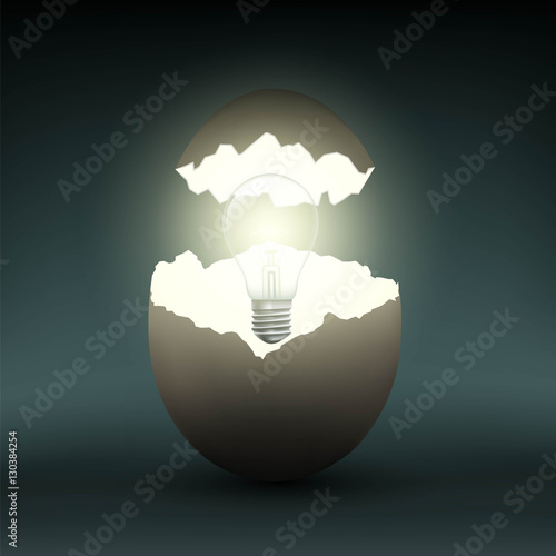 Electric light bulb in a chicken egg.