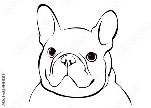 dog, vector, breed, pet, animal, bulldog, french