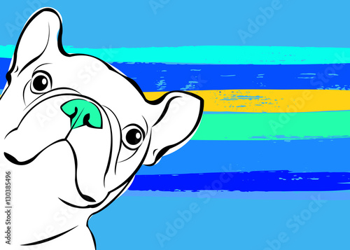 dog, vector, breed, cute, pet, animal, bulldog