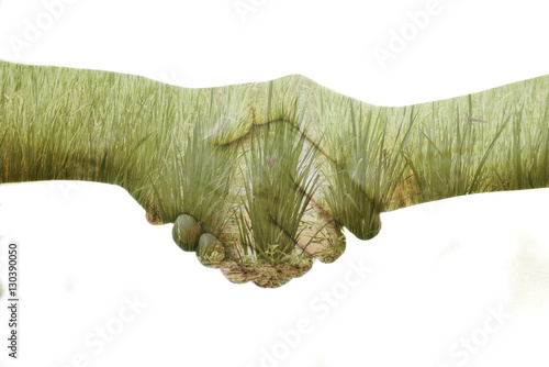 Man and women doing handshake isolated on the white background. Agreement or understanding about rice deal between farmer and merchant or consumer.