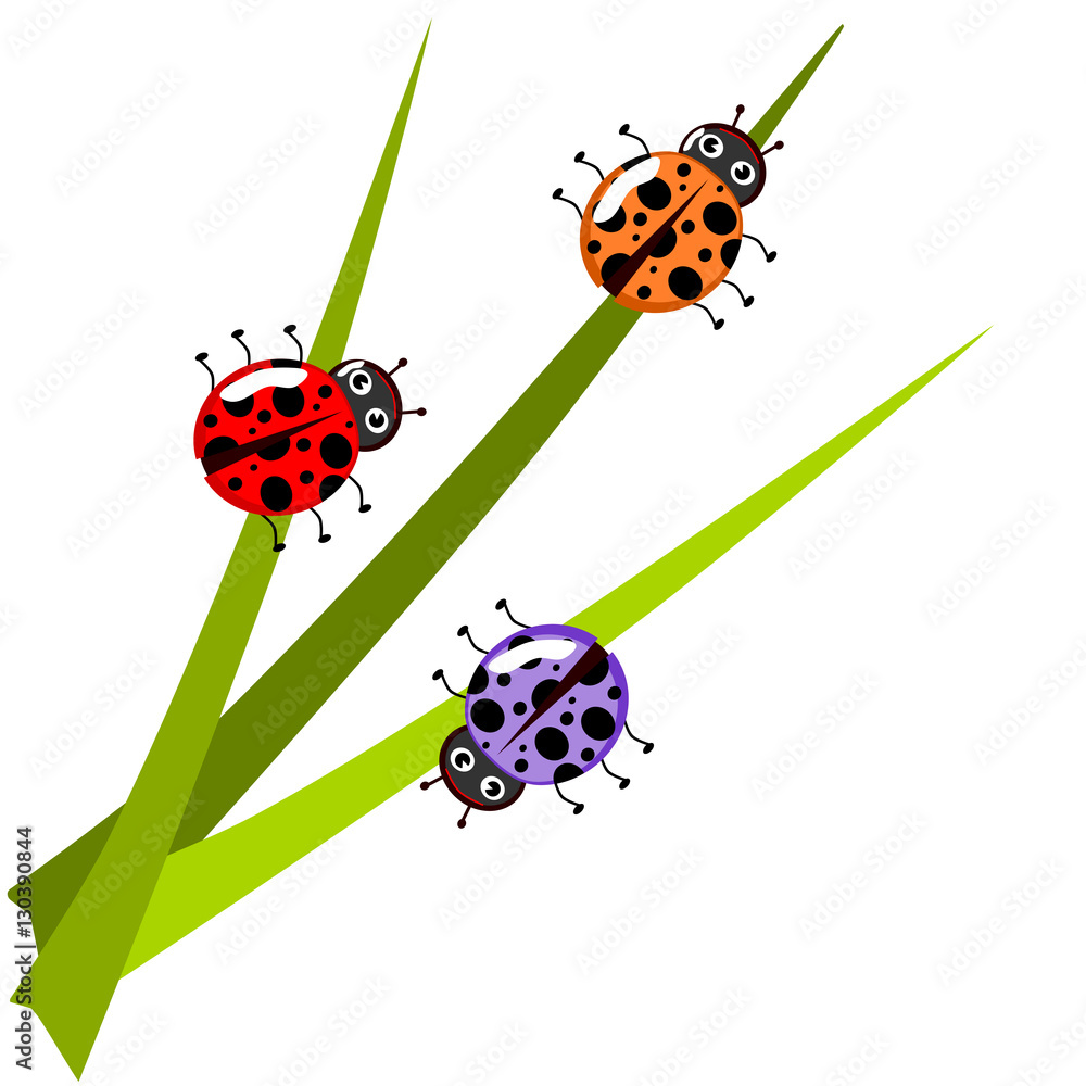 Naklejka premium Ladybug on leaf