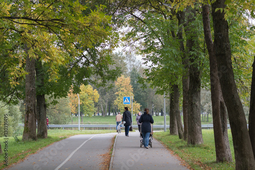 Wallpaper Mural People walk in the Park. A pedestrian path, bike path. A woman with a stroller. A man on a Bicycle. Torontodigital.ca