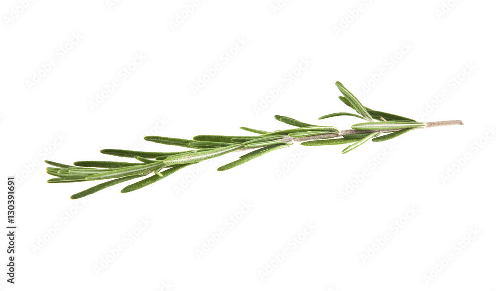 rosemary rosemary