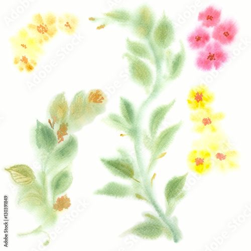 Seamless background. Branches of leaves and flowers - watercolor