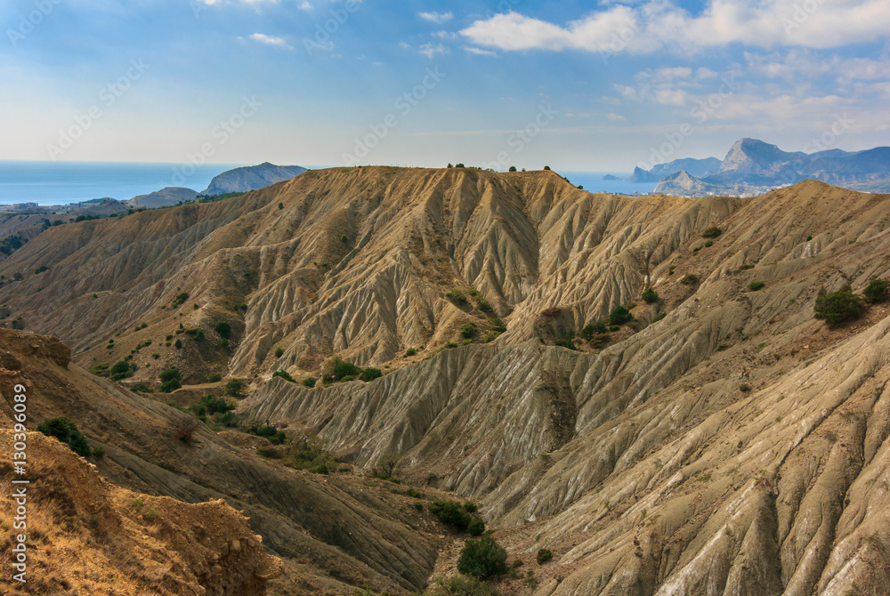 Fototapeta premium washout
