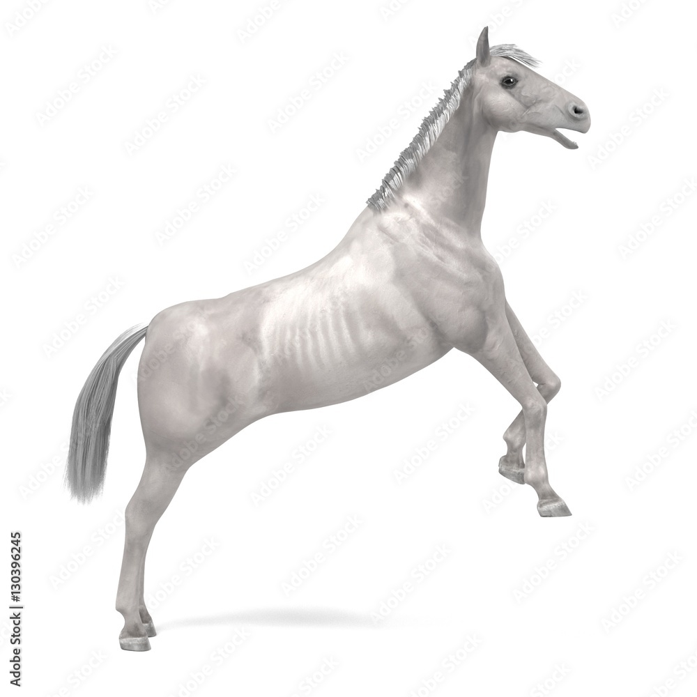Obraz realistic 3d render of white horse