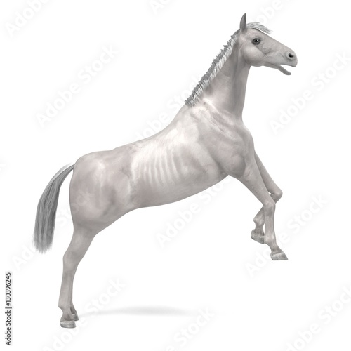 realistic 3d render of white horse