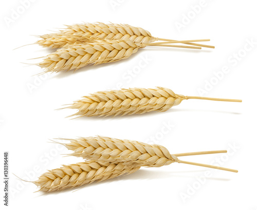 Wheat ears set 2 isolated on white background