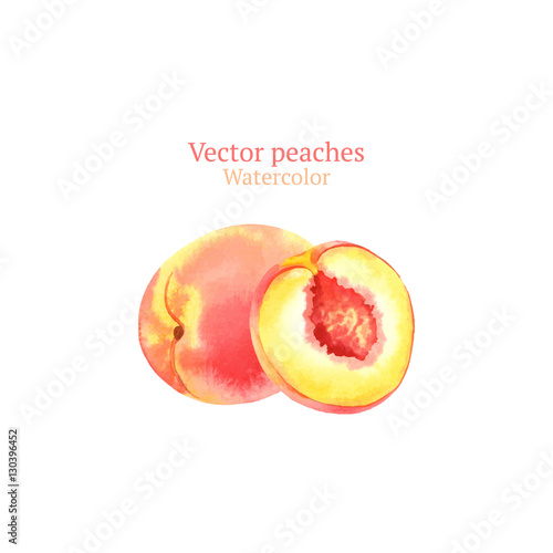 Watercolor vector peaches