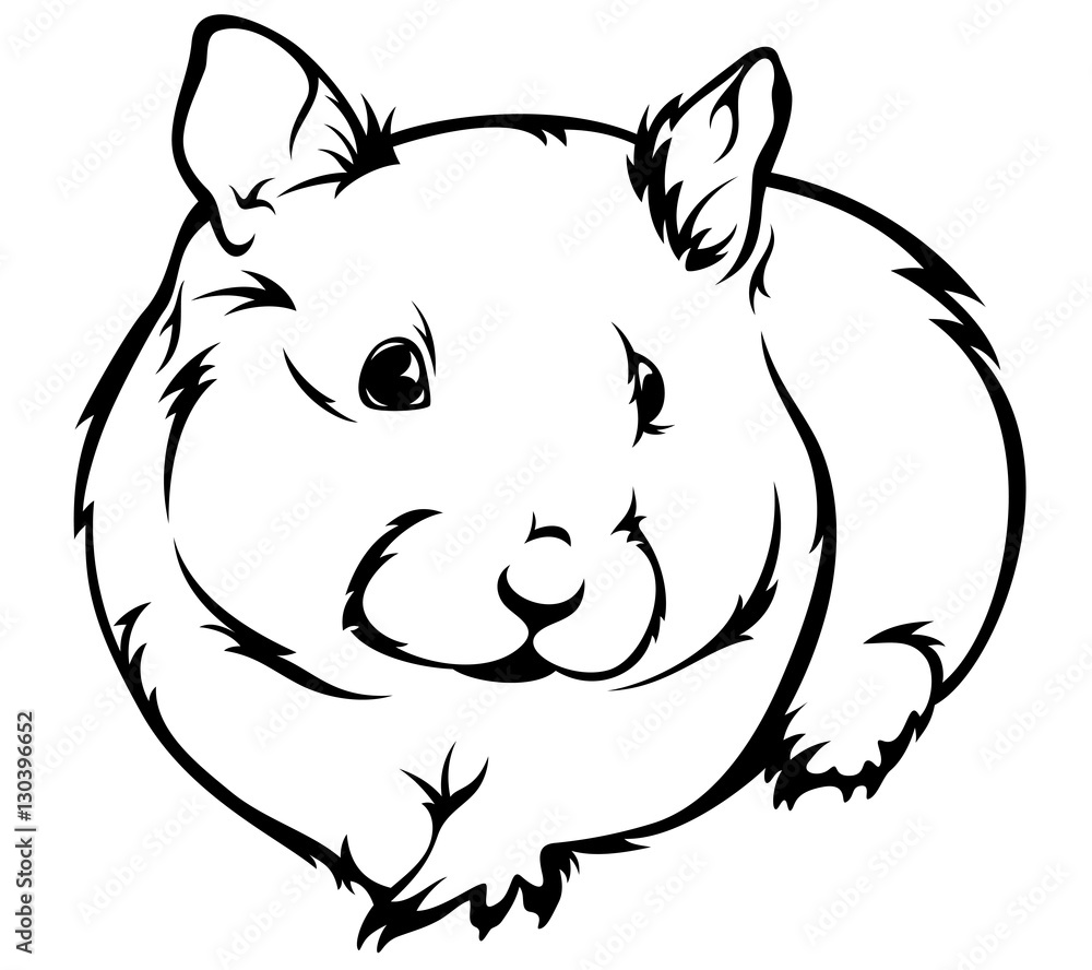 cute hamster (Cricetus) vector illustration - black and white outline cute hamster (Cricetus) vector illustration - black and white outline