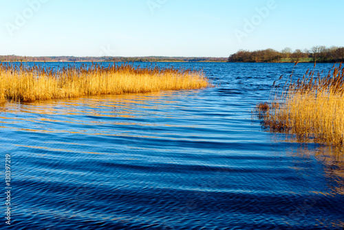 Canvas Print Narrow waterway inlet in reed bed with the south Swedish archipelago in the background