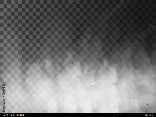 Fog or smoke isolated transparent special effect. White vector cloudiness, mist or smog background. Vector illustration