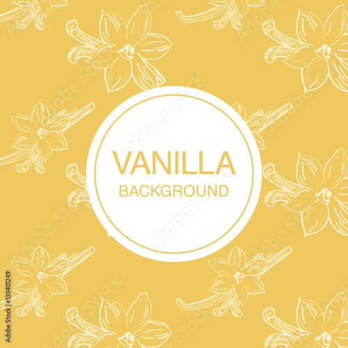 Vanilla flower sketch on light-yellow background square composition