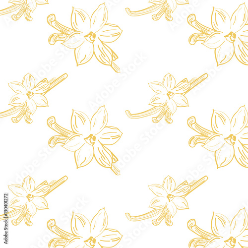 Sketch of vanilla flower on white background square composition