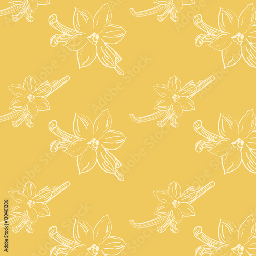 Sketch of vanilla flower on light-yellow background square composition