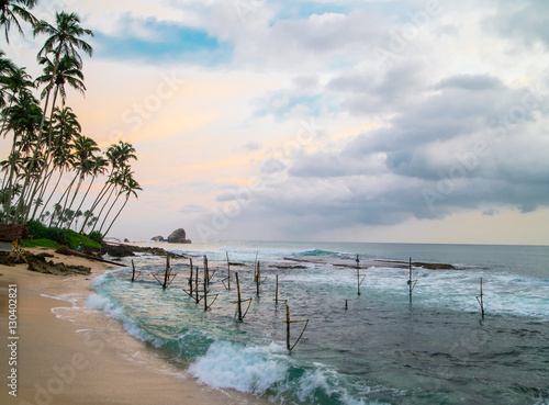 Fototapeta Naklejka Na Ścianę i Meble -  beach with palm trees in Sri Lanka