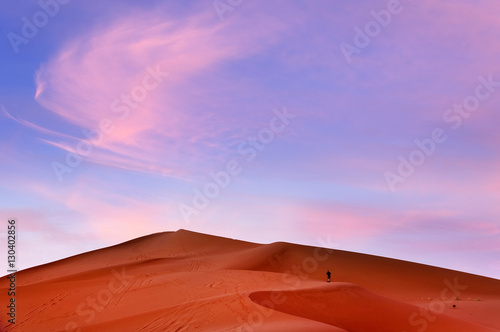 Sand dunes in Sahara Desert, Africa