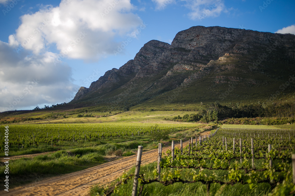Dramatic light over the winelands of the breede valley in the western cape of south africa