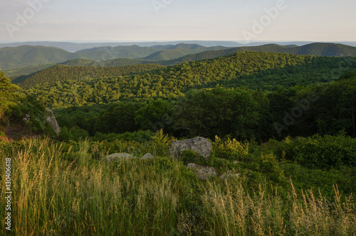 Blue Ridge Mountains  Shenandoah National Park  Virginia
