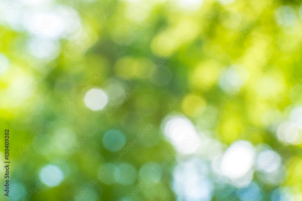 Abstract nature blurred background Abstract nature blurred background
