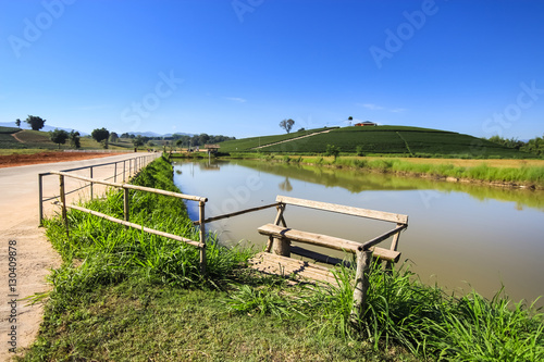 Bench in front of reservoir in the tea plantation