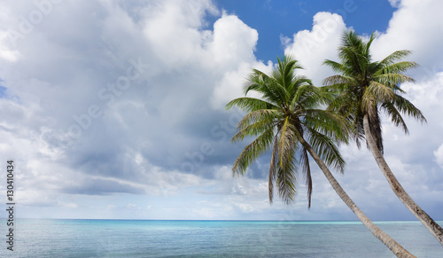 Fototapeta Naklejka Na Ścianę i Meble -  Tropical beach with palms in Caribbean Sea