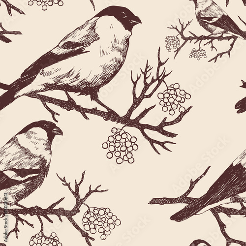 Seamless bullfinch pattern. Hand drawn vector.