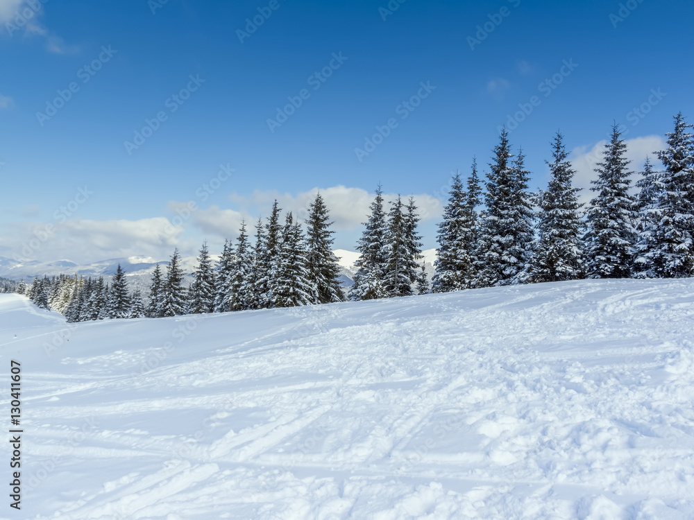 Winter in Carpatian Mountains. Ukraine. Sunny day.