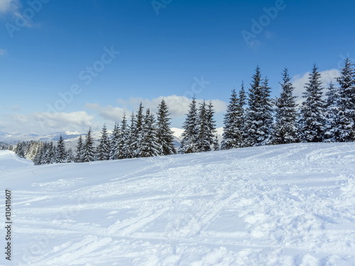 Winter in Carpatian Mountains. Ukraine. Sunny day.