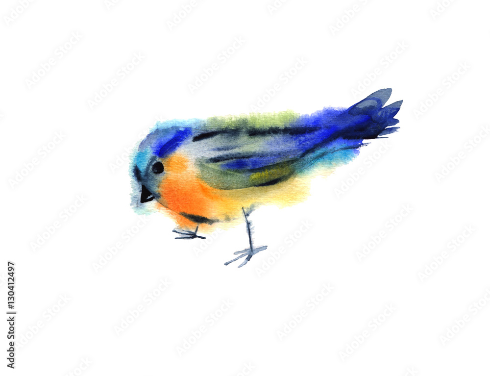 hand painting bird watercolor. isolated on white background.