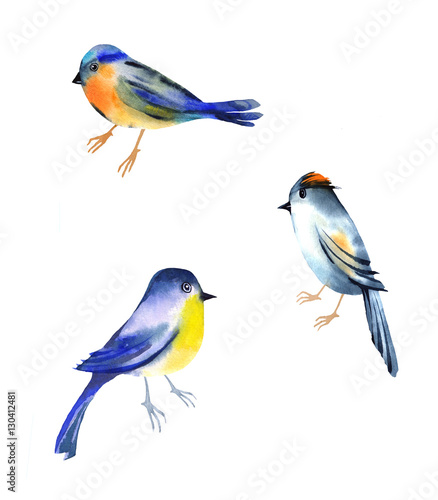 animal set with hand painting birds watercolor. isolated on white background.