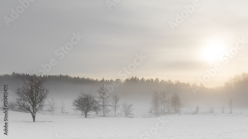 Snow fog above ground and the winter sunset at the Swedish forest, Stockholm, Sweden