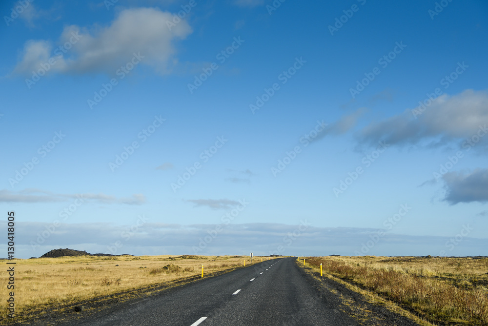 empty road and autumn landscape of Iceland