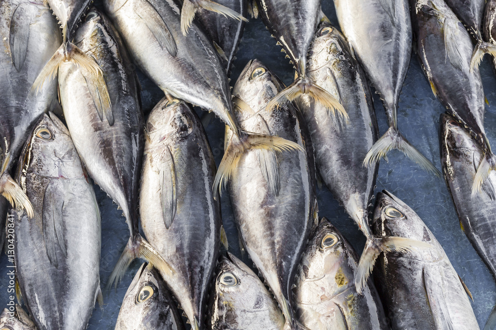 Obraz premium Fresh fish at local Sri Lanka market.