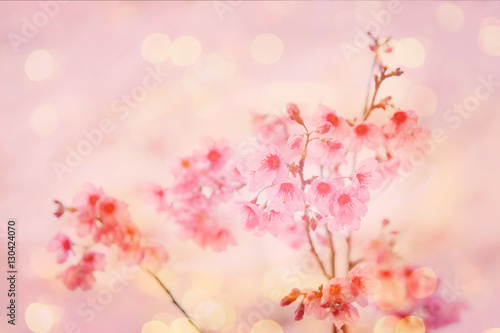 Soft focus of pink flower for sweet valentine background.