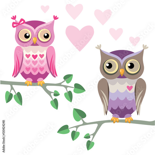 two owls in love