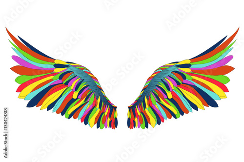 Wings. Vector illustration on white background. Colorful rainbow