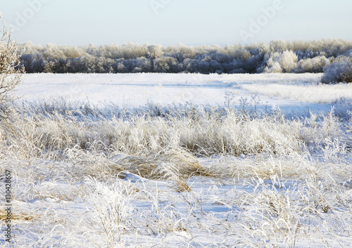 Winter landscape. Russia, Tver region.