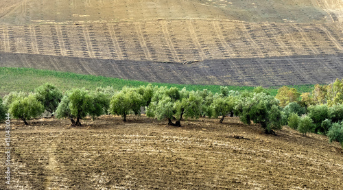 Andalusien - Landschaft beim weißen Dorf Olvera photo